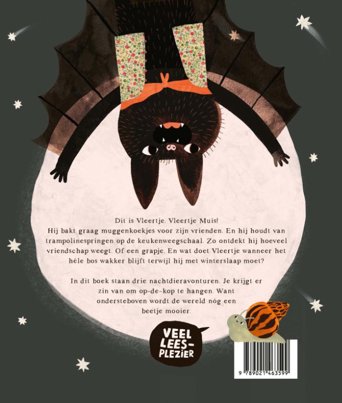 Boek | Susanne Roos | Vleertje Muis