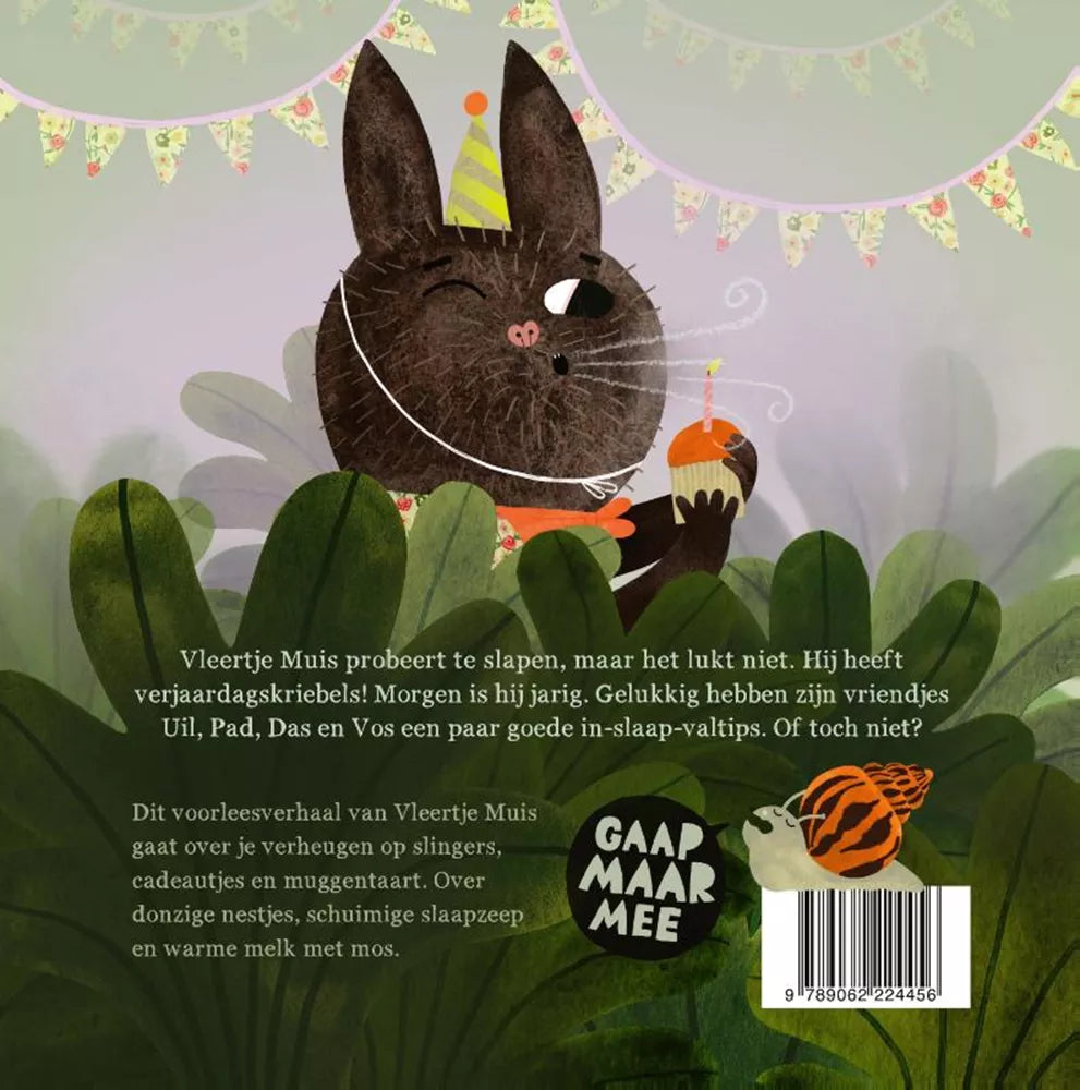 Boek | Susanne Roos | Vleertje Muis en het gaapconcert