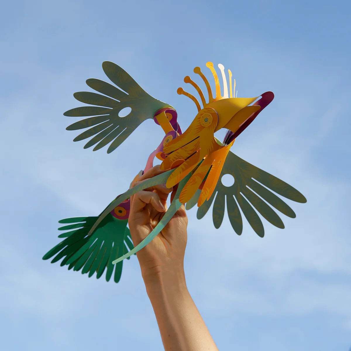 Clixo | Tropical Birds