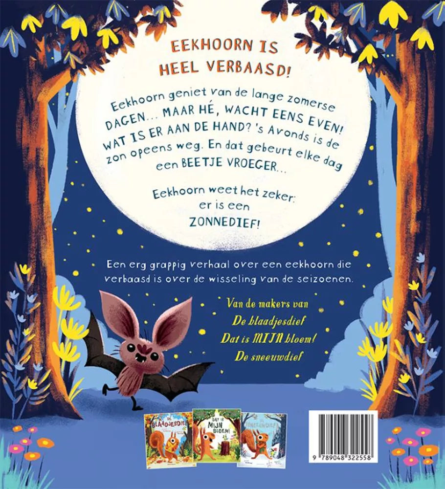 Boek | Alice Hemming | De zonnedief